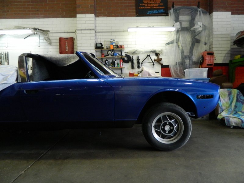 restorations-blue-stag-5